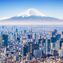 Чиботару Никита